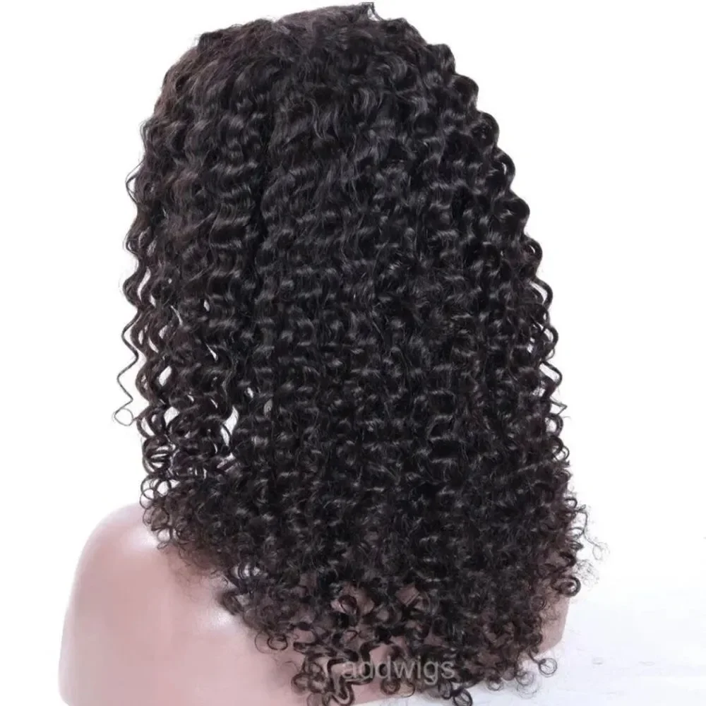 Women's Curly Wavy Chest Long Wigs Black Ladies Synthetic Medium length Hair US